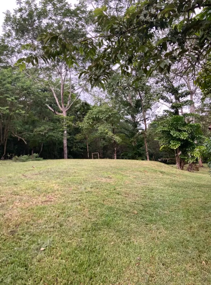 1.2-Hectare Lot in Delicias photo 7