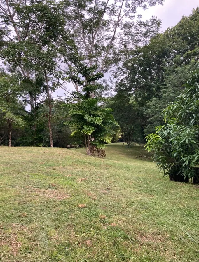 1.2-Hectare Lot in Delicias photo 8
