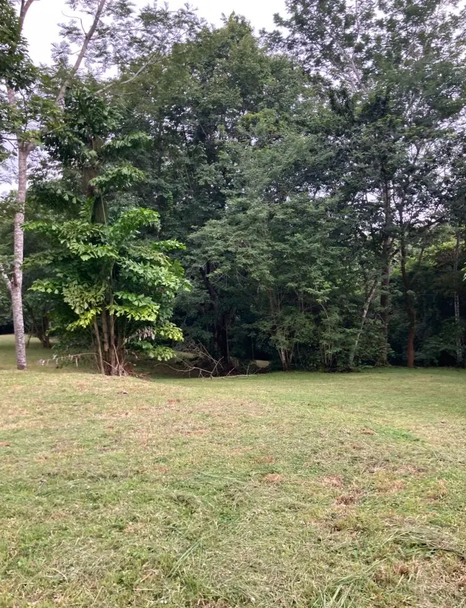 1.2-Hectare Lot in Delicias photo 9