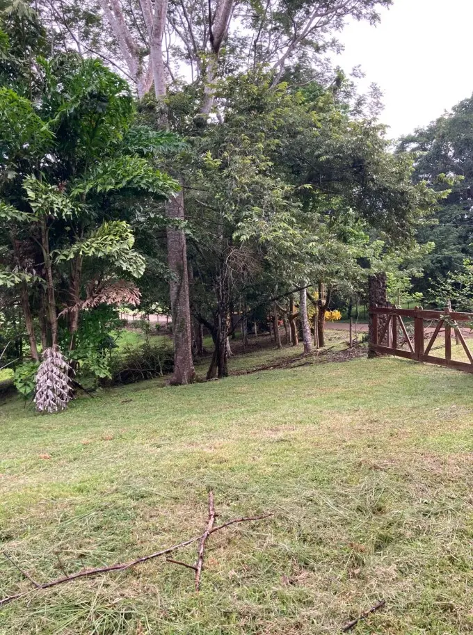 1.2-Hectare Lot in Delicias photo 10