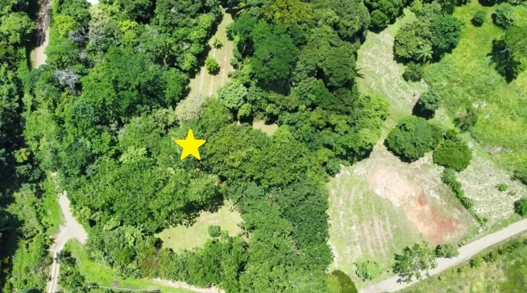 1.2-Hectare Lot in Delicias photo 12