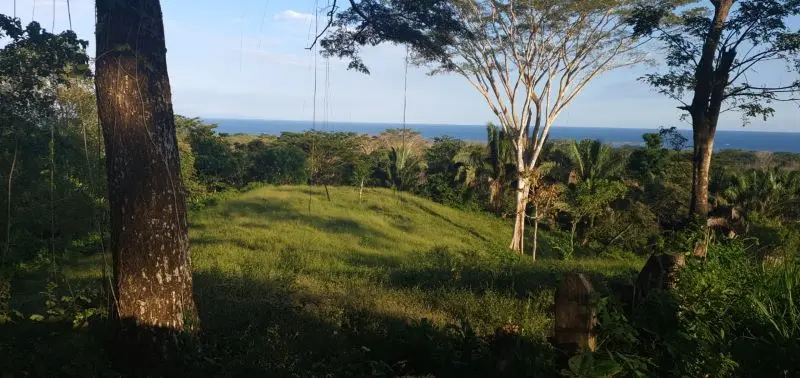 Ocean View Lot in Cabuya photo 5
