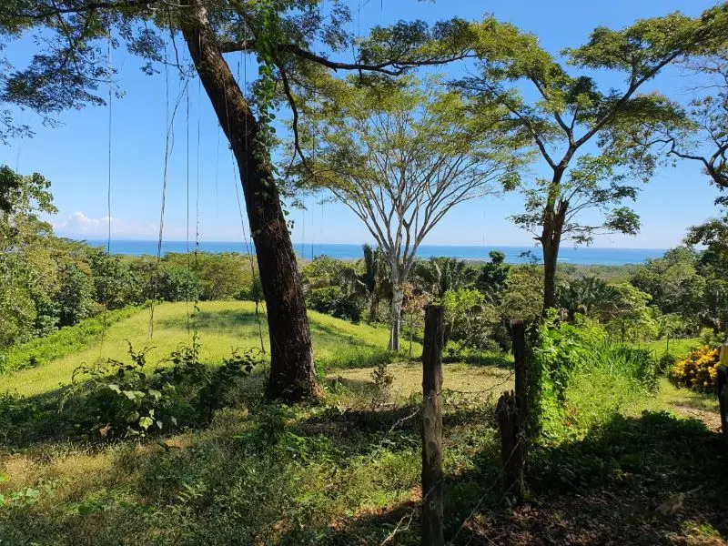 Ocean View Lot in Cabuya photo 2