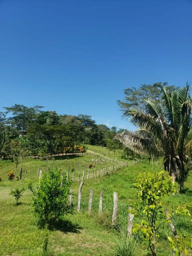 Ocean View Lot in Cabuya photo 7