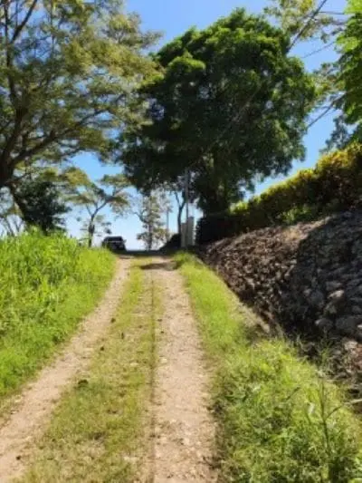 Ocean View Lot in Cabuya photo 8