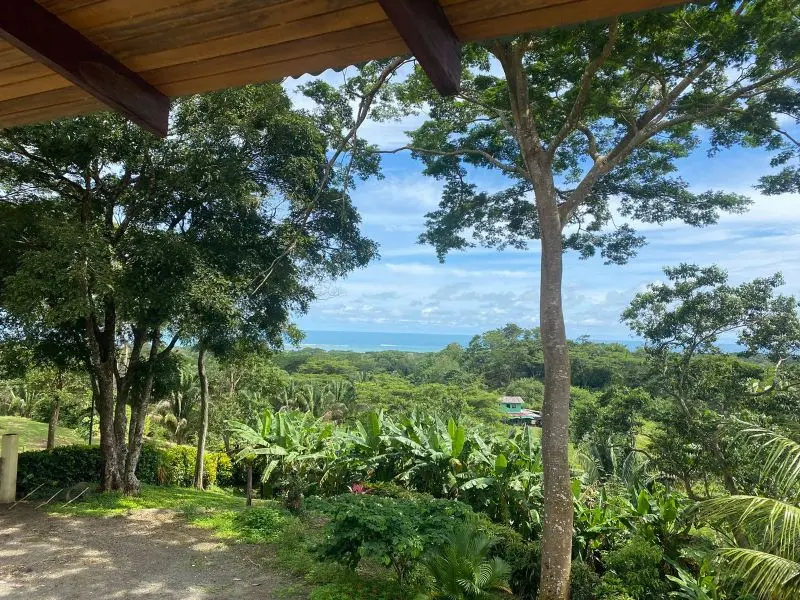 Ocean View Hilltop House photo 12