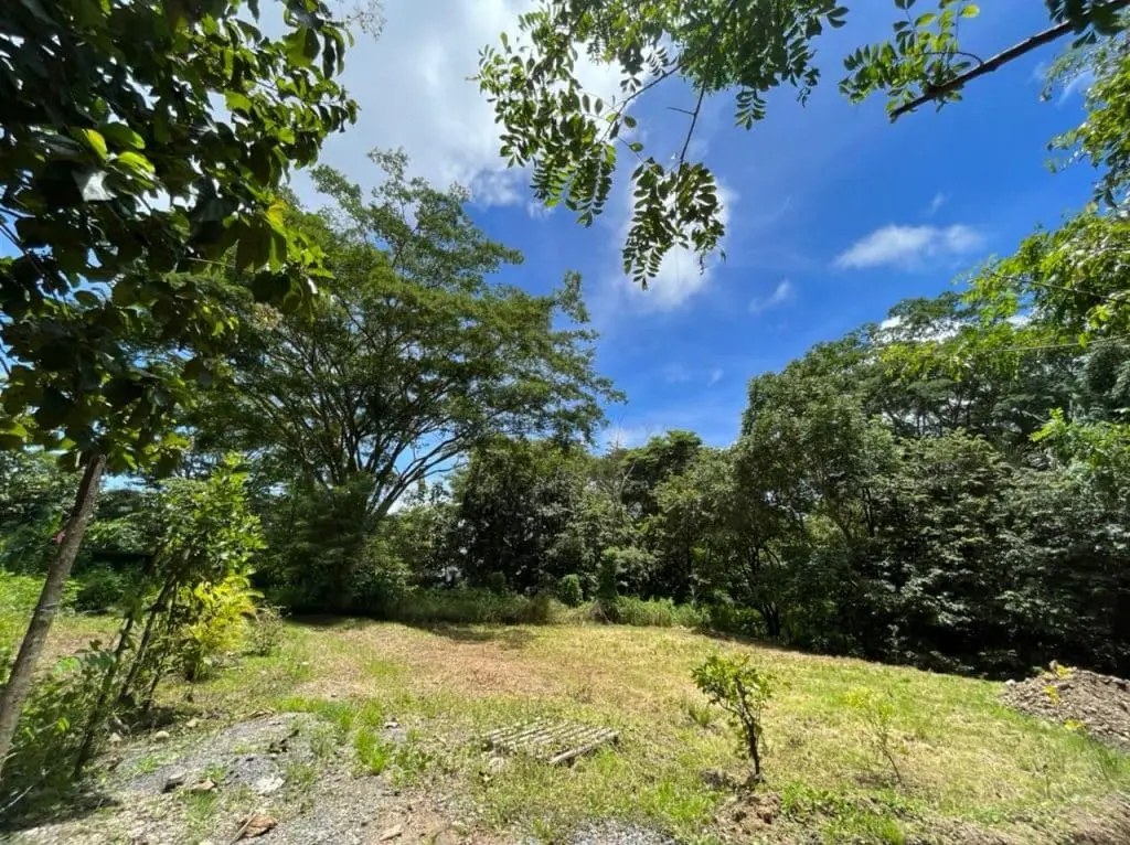 Casa Cabuya Retreat photo 11