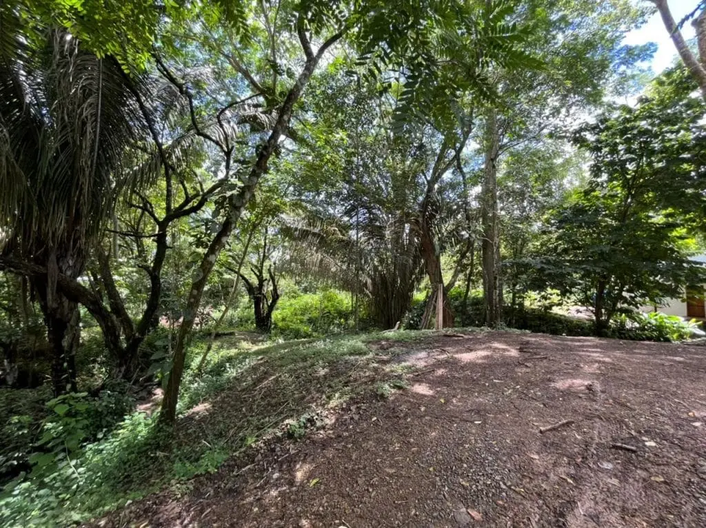 Casa Cabuya Retreat photo 12