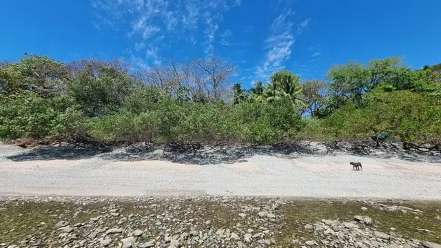 Cabuya Beachfront Lot for Sale photo 2