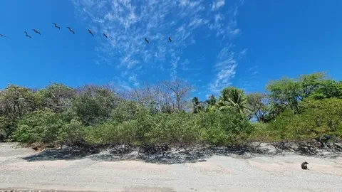 Cabuya Beachfront Lot for Sale in Cabuya, Costa Rica