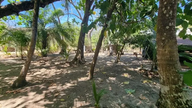 Cabuya Beachfront Lot for Sale photo 5