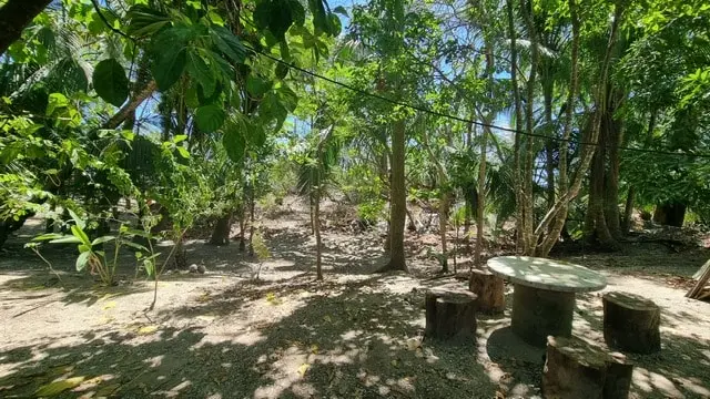 Cabuya Beachfront Lot for Sale photo 4