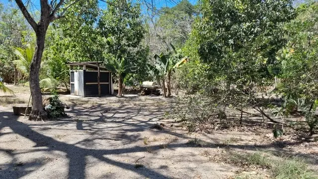 Cabuya Beachfront Lot for Sale photo 15