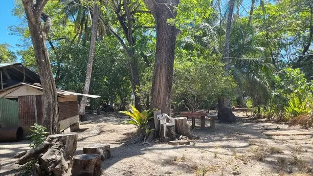 Cabuya Beachfront Lot for Sale photo 9