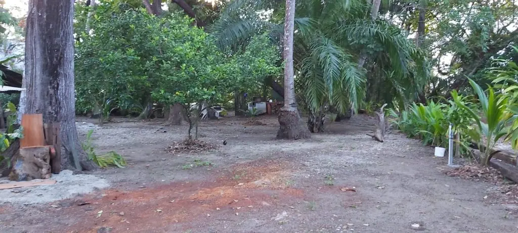 Cabuya Beachfront Lot for Sale photo 7