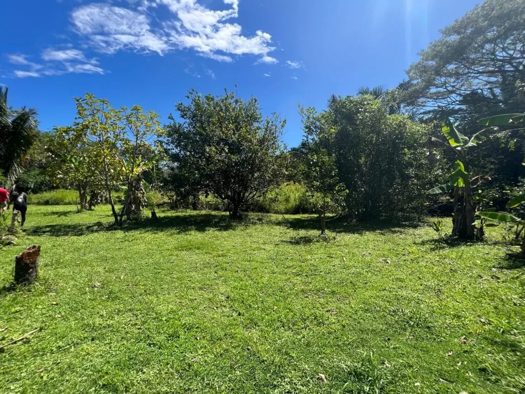 Prime Cabuya Property photo 9