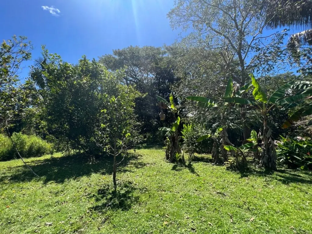 Prime Cabuya Property photo 8