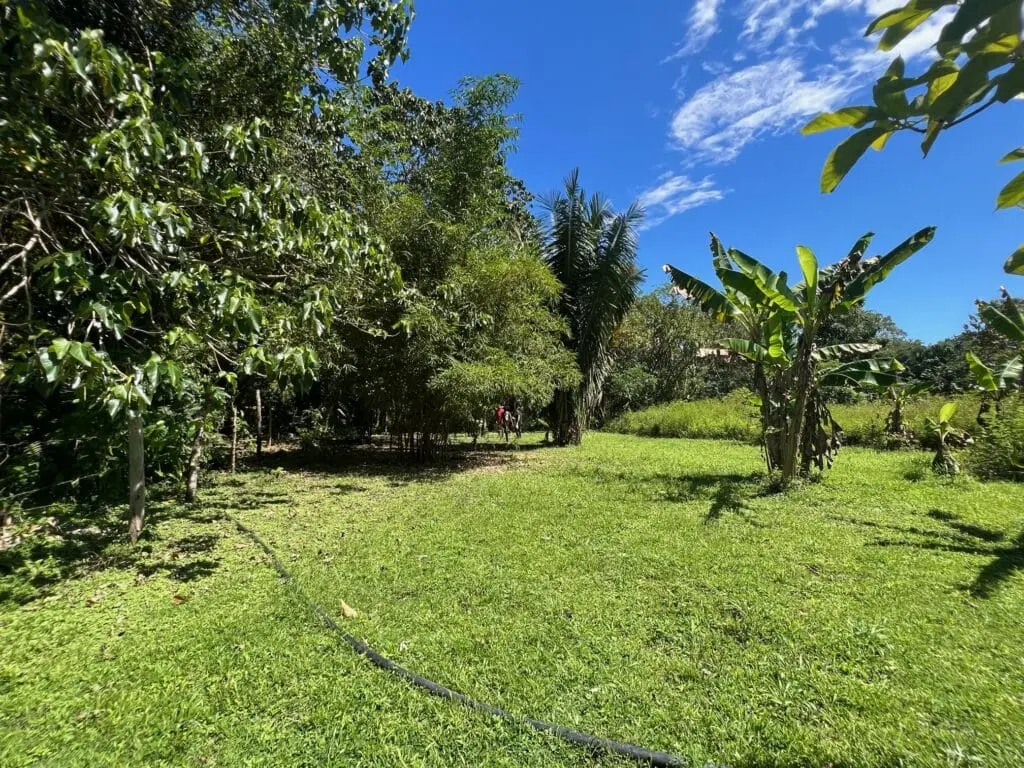 Prime Cabuya Property photo 3