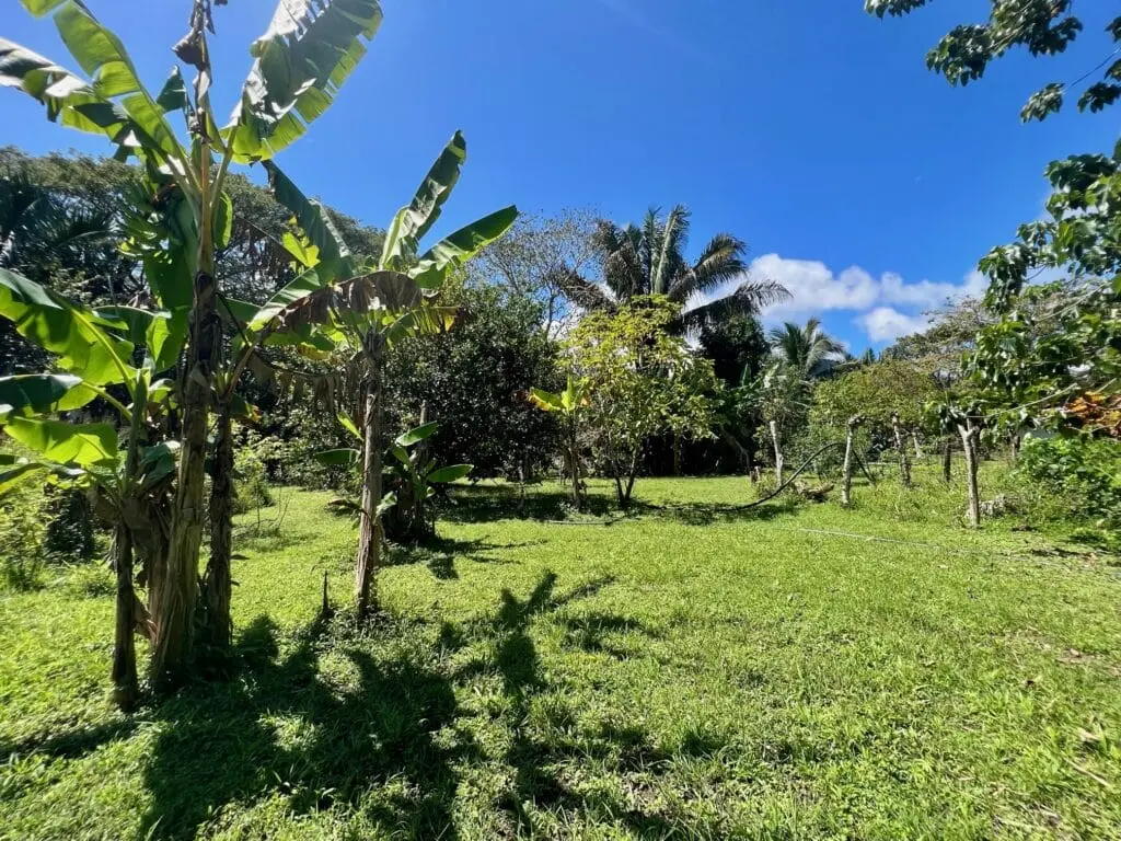 Prime Cabuya Property photo 2