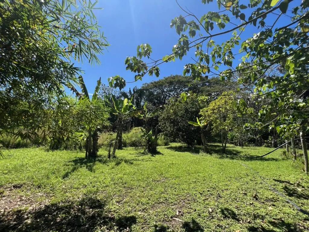 Prime Cabuya Property photo 7
