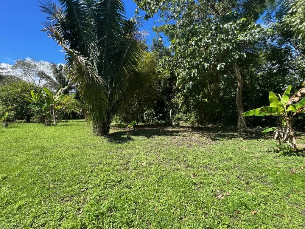 Prime Cabuya Property photo 6