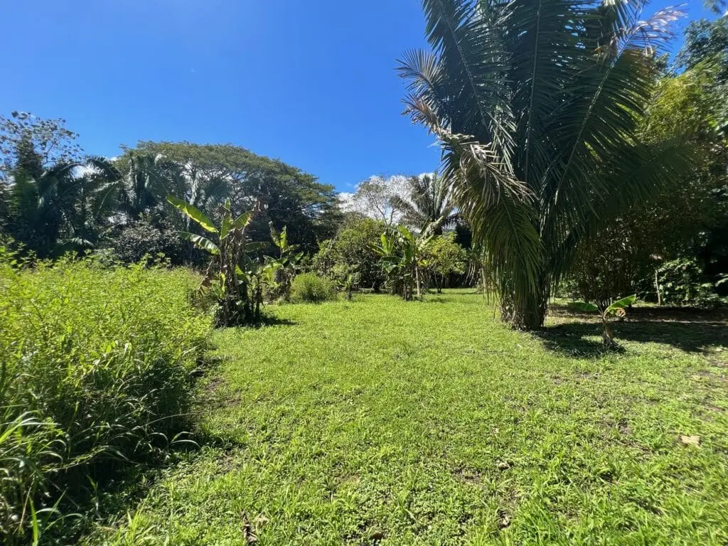 Prime Cabuya Property photo 5