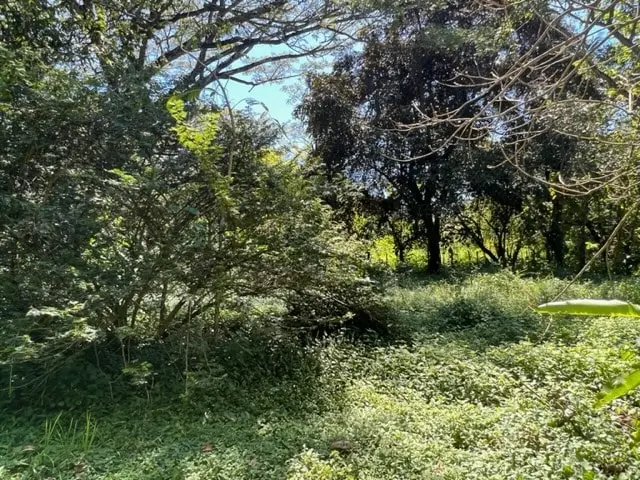 Prime Cabuya Property photo 14