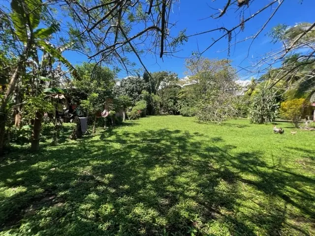 Prime Cabuya Property photo 4
