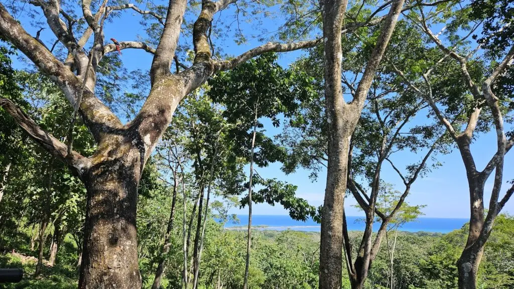 Eco-Friendly Property with Ocean Views photo 2