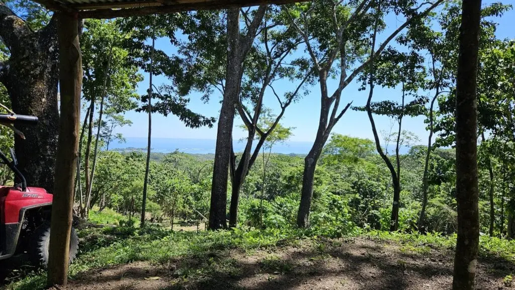 Eco-Friendly Property with Ocean Views photo 3