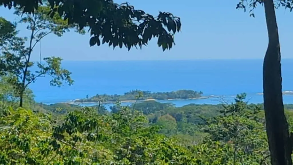 Eco-Friendly Property with Ocean Views photo 4