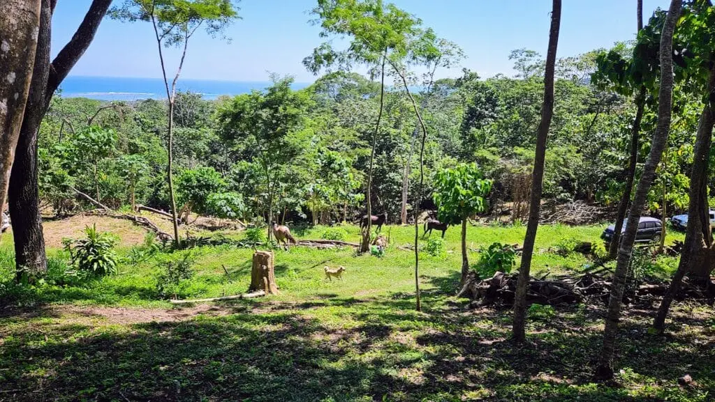 Eco-Friendly Property with Ocean Views photo 5