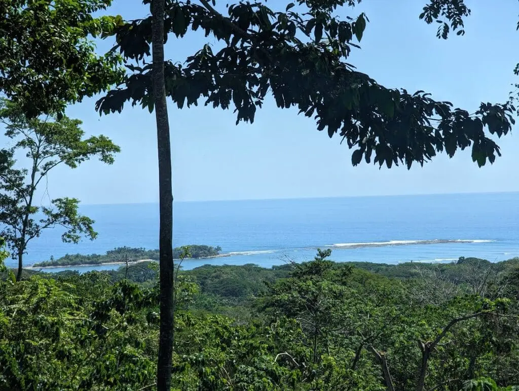 Eco-Friendly Property with Ocean Views photo 6