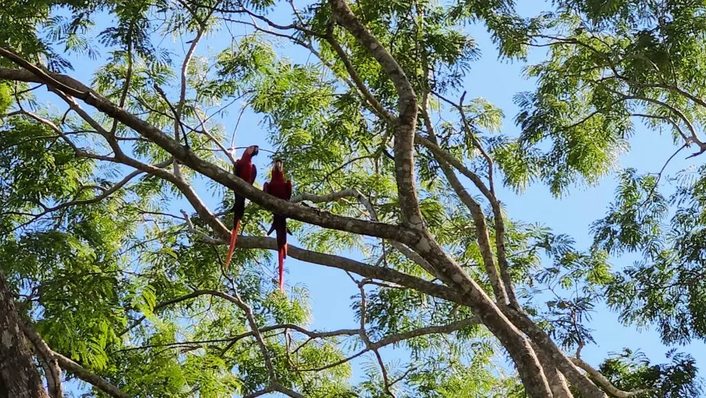 Eco-Friendly Property with Ocean Views photo 8