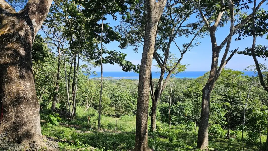 Eco-Friendly Property with Ocean Views photo 10