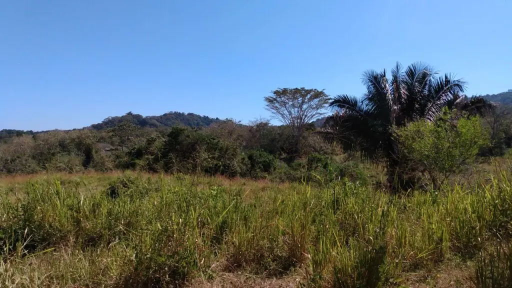 The Estate in Cabuya photo 4