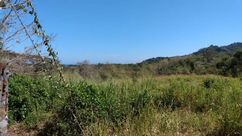 The Estate in Cabuya photo 5