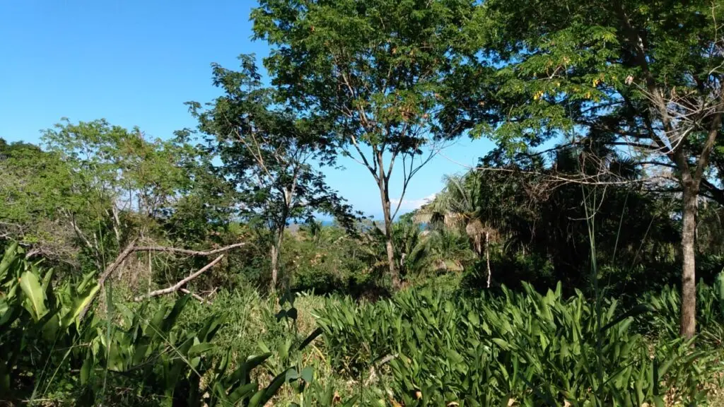 The Estate in Cabuya photo 14