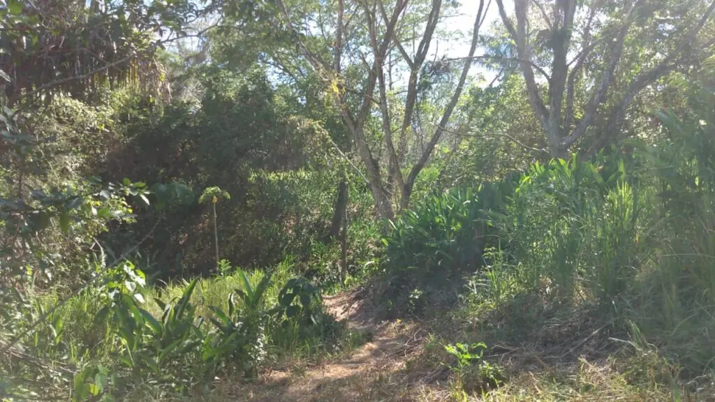 The Estate in Cabuya photo 10