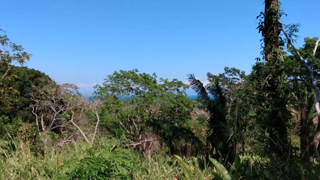 The Estate in Cabuya photo 11