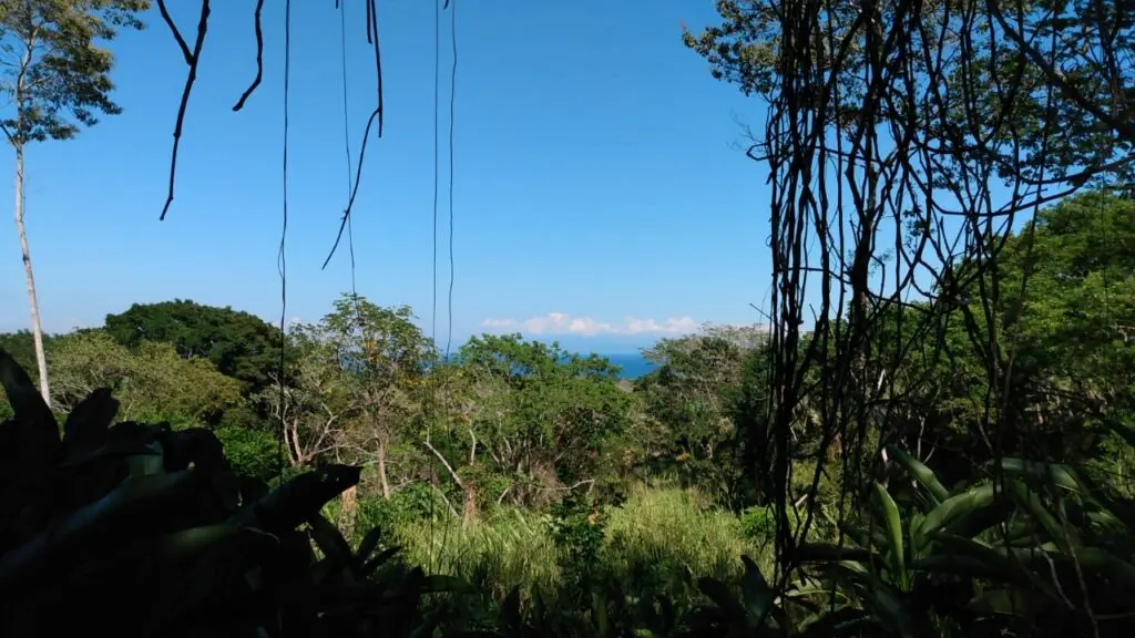 The Estate in Cabuya photo 2
