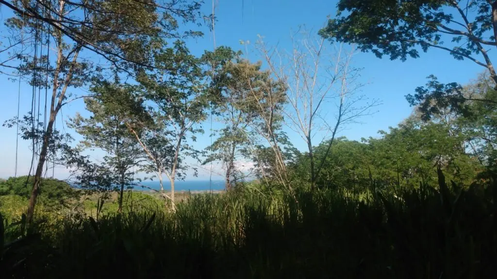 The Estate in Cabuya photo 1
