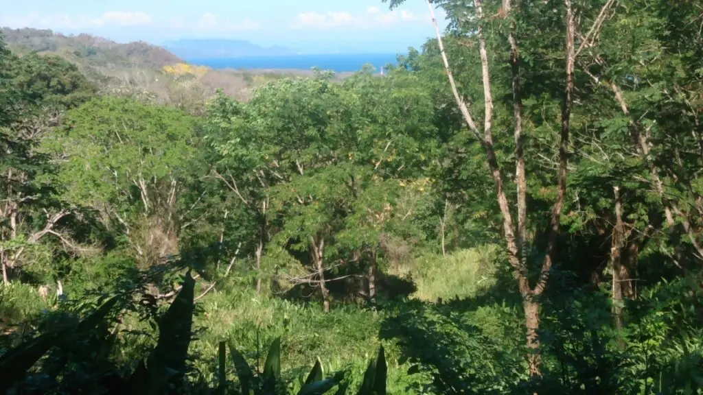 The Estate in Cabuya photo 15