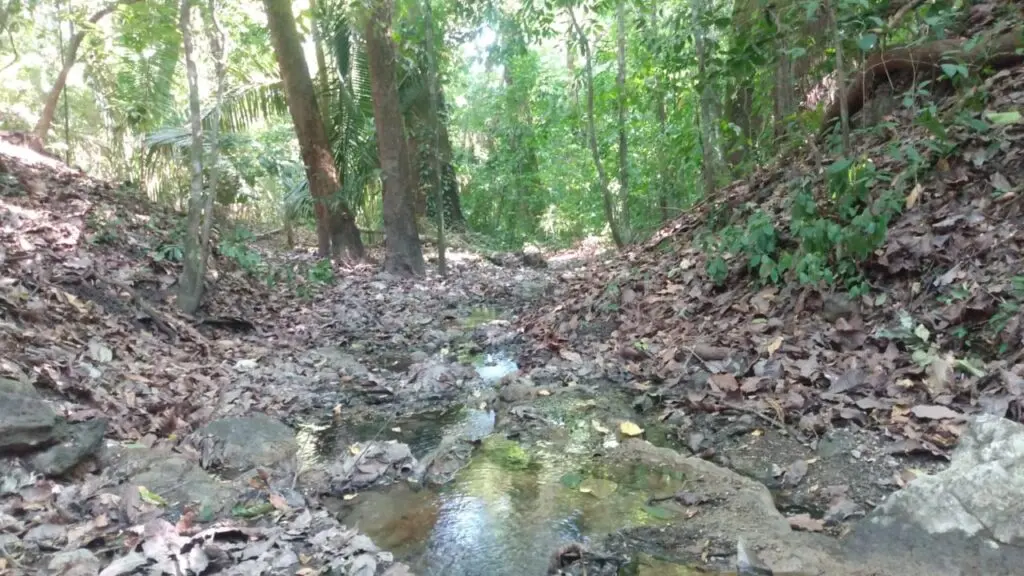 The Estate in Cabuya photo 16
