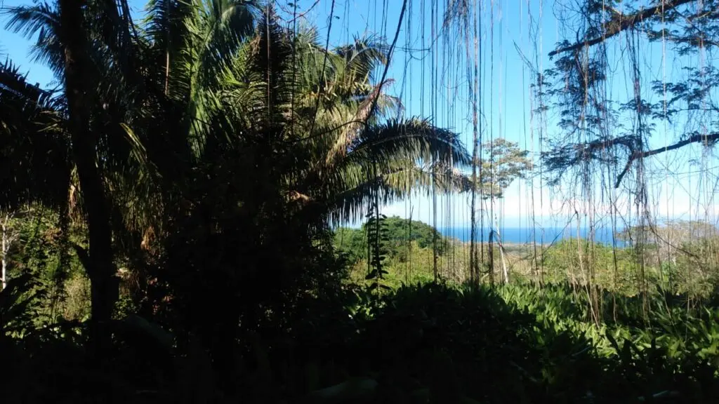 The Estate in Cabuya photo 7
