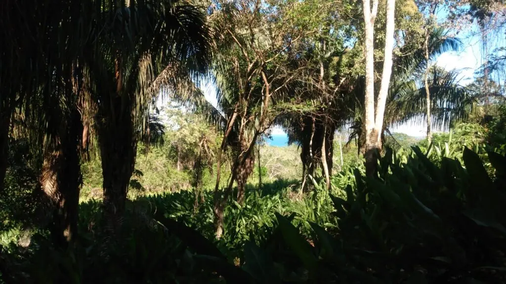 The Estate in Cabuya photo 20
