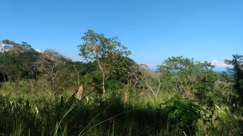 The Estate in Cabuya photo 18