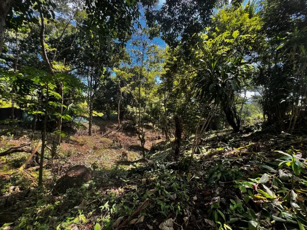 Oceanview Villa in Cabuya photo 2