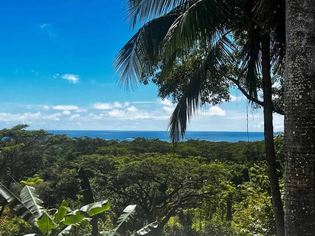 Oceanview Villa in Cabuya photo 25
