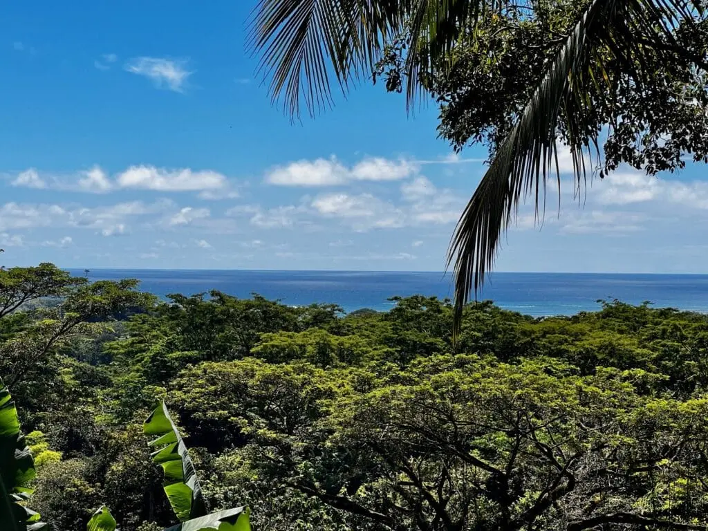 Oceanview Villa in Cabuya photo 28